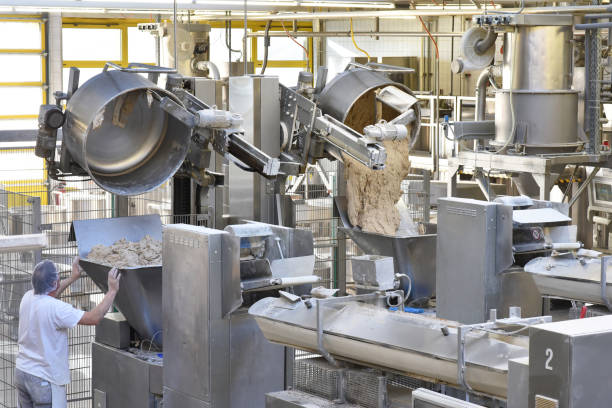 industrial production of bakery products on an assembly line - technology and machinery in the food factory